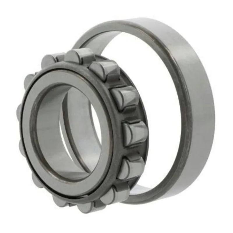 N Series Cylindrical Roller Bearings